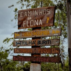 Placa de madeira na Floresta Nacional de Brasília escrito, caminhos da Flona, trilha jatobá, trilha pequei, trilha buriti, e trilha sucupira, onde o Rapha Guia de Turismo faz tours.