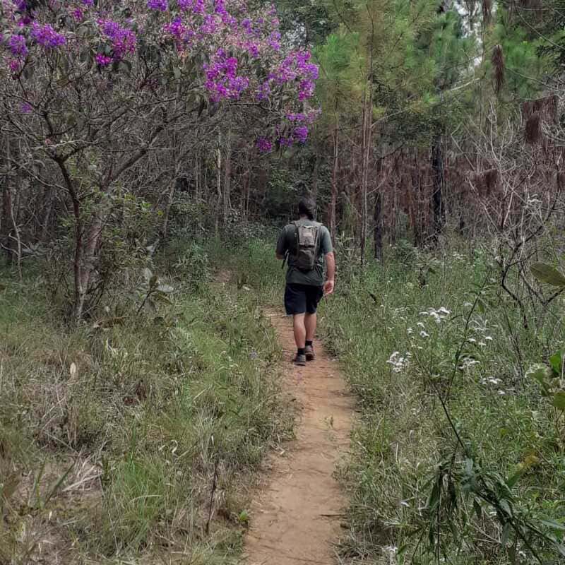 Trilhas e Cerrado em Brasília - Rapha Guia de Turismo